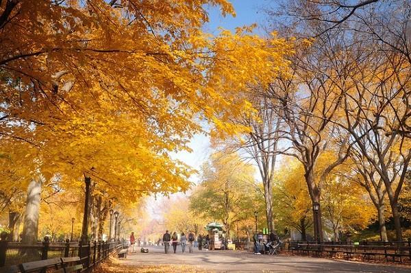 Literary Walk không chỉ nổi tiếng là con đường mùa thu lãng mạn nhất nhì Central Park mà còn nổi tiếng là khu vực đặt