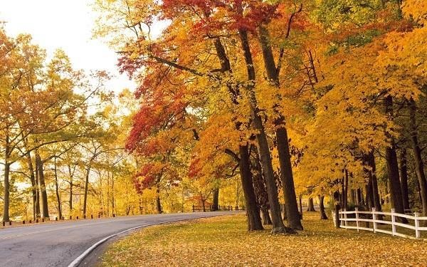 Ðại lộ Niagara, Canada Canada là điểm đến tuyệt vời cho những ai yêu thích mùa thu.
