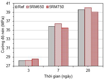 Hình 5. Cường độ của các mẫu vữa pha RM750 và Ref Hình 6.