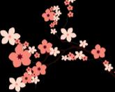 Kanawaga 1 月 Jan 2 月 Feb Bắt đầu kì 4 Đại hội hùng biện tỉnh Kanagawa Trải nghiệm văn hóa Nhật Bản(Tham quan du lịch) 3