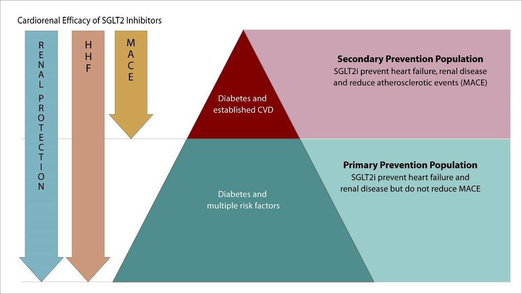 Tiềm năng bảo vệ tim thận của nhóm SGLT2i cho phổ rộng bệnh nhân Đái tháo đường Phòng ngừa thứ phát Phòng ngừa tiên phát Hướng tới phòng ngừa tiên phát Bảo vệ bệnh nhân từ SỚM Diabetes