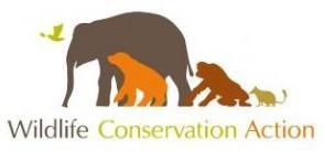 Action, Taronga Conservation Society Australia, Bornean Sun Bear Conservation Centre, Hauser Bears, và