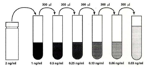c. Perform serial dilutions by adding 300 μl of each standard to the next tube and vortexing between each transfer.the Standard/Sample Diluent serves as the zero standard (0 ng/ml). 3. Working Detector See Assay Procedure, step 5.