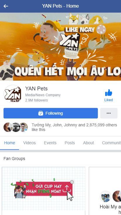 YAN Pets Live streaming 10,000,000 * Ghi chú: Chi phí đăng không bao gồm chi phí sản xuất.