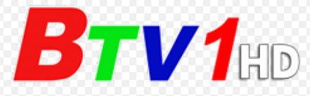 BinhDuongTV2 (BTV2)