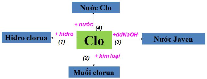 a/ Tính chất hóa học của b/ Tính chất hóa học của cacbon