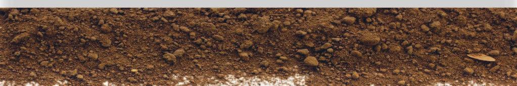 Сначала надо определить механический состав и кислотность своей почвы, а уж затем браться за её улучшение.