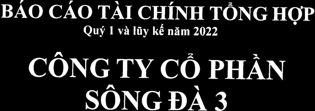 f_r_\r:, BAO CAO TA CHNH TONGHOP Quy 1 vi