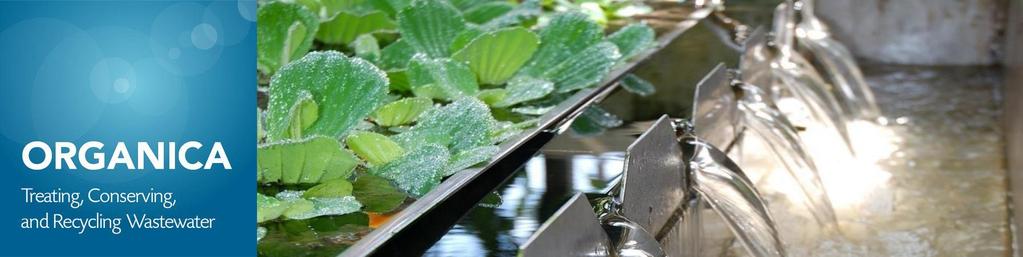 Nghiên cứu Công nghệ xử lý nước thải So sánh công nghệ của Organica với các công