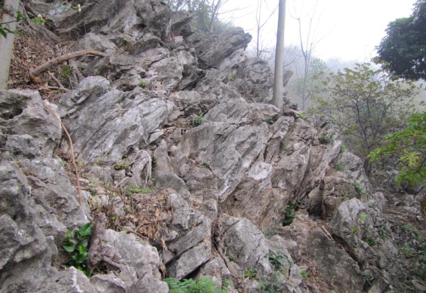 Hình 2.2. Ca rư phát triển nghiêng theo hướng của lớp đá vôi [6] + Karst ngầm: Hang động Tại cả 2 vị trí có đá vôi đều gặp hang động.