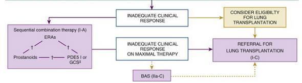 Quy trình điều trị TAĐMP (3) BAS= ballon atrial septostomy TL: McLaughlin VV, Humbert M.