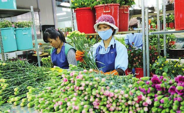 KINH TẾ THỨ TƯ 24-4 - 2019 3 Chuyển biến trong phát triển công nghiệp Nhìn lại năm qua, sản xuất công nghiệp của Lâm Đồng có mức tăng trưởng khá, đạt chỉ tiêu kế hoạch đề ra và trong những tháng đầu