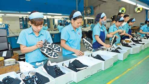 - Tình hình xuất khẩu: Xuất khẩu của Việt Nam sang Đài Loan năm 2018 đạt 3,15 tỷ USD, tăng 22,5% so với năm 2017.