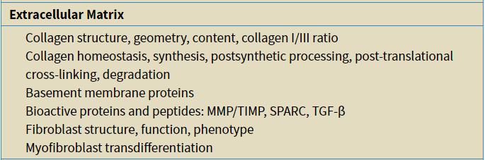 Mechanism and factors contributing to pathophysiology of HFpEF(5) TL: Zile MR,