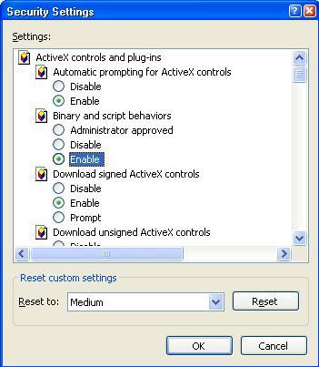 Figure 8-2 Set ActiveX controls and plug-ins Automatic prompting for ActiveX controls Script ActiveX controls marked safe for scripting Initialize and script ActiveX controls not marked as safe