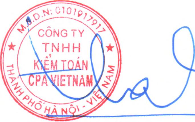 ty TNHH Kiểm toán và ké toán tại Hà Nội, Báo cáo kiểm toán độc lập số 07/2018/CNCPAHẠNOl/BCKT-BCTC ngày 28/03/2018 đưa ra ý kiến kiểm toán ngoại trừ dối với khoản nợ được thanh toán bằng tiền