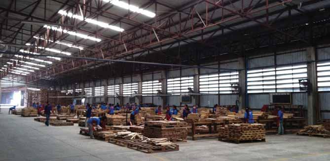 hơn hoạt động chế biến gỗ của công ty vì nó giúp Vilaysack, chủ sở hữu công ty, nhanh chóng thu được các khoản lợi nhuận từ hợp đồng và giao dịch thanh toán tiền mặt.