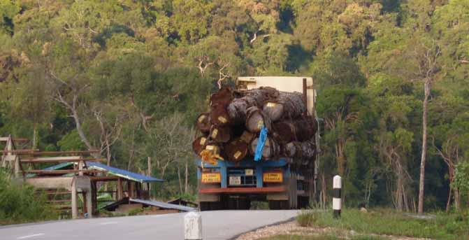 CHÍNH SÁCH QUẢN TRỊ RỪNG QUỐC TẾ 18 ẢNH TRÊN: Xe tải chở gỗ hướng về biên giới Việt Nam, Attapeu, Lào, 2010 Trong thập kỷ qua, khai thác và buôn bán gỗ bất hợp pháp đã được thế giới thừa nhận như là
