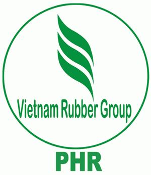 Sơ lược công ty Công ty Cổ Phần Cao Su Phước Hòa là một trong các đơn vị có diện tích lớn trong ngành cao su Việt Nam, nằm trong vùng chuyên canh cao su, vị trí trung tâm của vùng cao su Đông Nam Bộ,