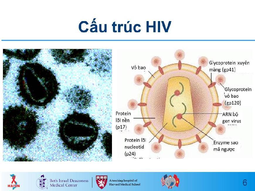 Sau đó ADN tích hợp vào nhân tế bào vật chủ. Slide 6 Slide 7 GIẢI THÍCH rằng: HIV gồm hai bản sao ARN sợi đơn ( ARN bộ gen virus ).