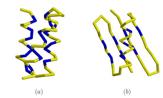 Chương 4 Vai trò của trình tự amino acid kỵ nước và phân cực đối với cơ chế cuốn của protein Trong chương này chúng tôi nghiên cứu quá trình cuốn của protein trong hai mô hình: Mô hình ống HP và mô