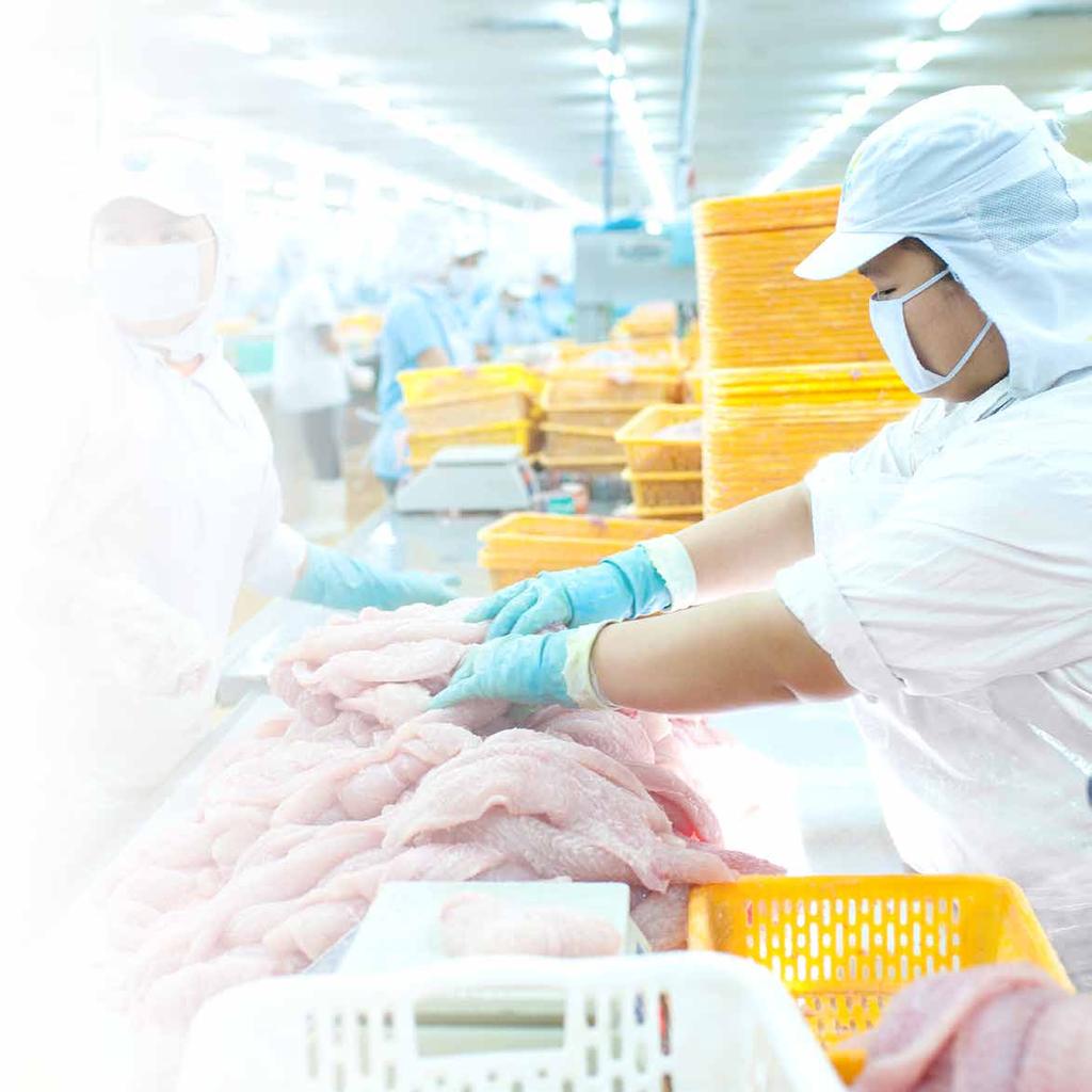 26 I Nam Viet Corporation Báo cáo thường niên I 27 THÔNG TIN VỀ CÔNG TY ĐỊNH HƯỚNG VÀ PHÁT TRIỂN Chiến lược phát triển Tiếp tục phát triển chuyên sâu, áp dụng công nghệ cao và hoàn thành chuỗi giá
