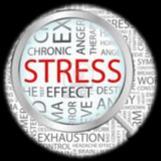 Ths. Châu Liễu Trinh Bộ môn Tổ chức Quản lý Y tế Trường Đại học Y Dược Cần Thơ 1- Định nghĩa được stress tâm lý, nêu được các nguyên nhân của stress tâm lý 2- Nêu được mối liên quan giữa gia đình với