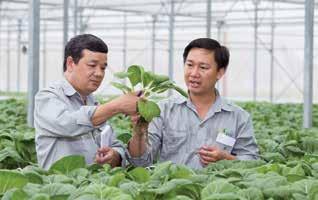 000 HỢP TÁC XÃ VÀ HỘ NÔNG DÂN CUNG ỨNG NÔNG SẢN SẠCH VÀ AN TOÀN Trong năm 2017, chương trình Đồng hành, hỗ trợ và thúc đẩy sản xuất nông nghiệp Việt với quy trình kiểm soát chặt chẽ đã góp phần đảm