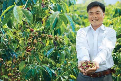 Mỗi vụ mùa cà phê thành công là kết quả của sự tận tâm, lao động không mệt mỏi của người trồng như anh Nguyễn Văn Huấn, chủ trang trại cà phê tại Lâm Hà.