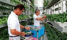 GANESAN AMPALAVANAR: Công ty Nestlé Việt Nam hướng tới mục tiêu phát triển bền vững XÂY DỰNG NÔNG THÔN MỚI NHÌN RA THẾ GIỚI [56] TRƯƠNG THỊ GIANG: Costa Rica: Thực hiện nhiều giải pháp giảm thiểu ô