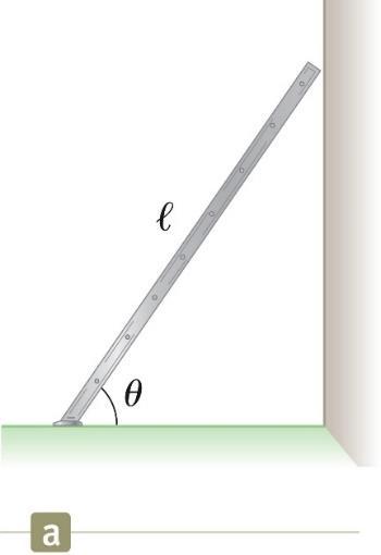 Khái niệm hóa Thang là đồng chất. Trọng lượng của thang đặt ở tâm hình học của nó (cũng là trọng tâm). Giữa thang và sàn nhà có ma sát nghỉ (ma sát tĩnh).