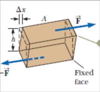 3a) với suất biến dạng là: S: suất trượt (N/m) F: ngoại lực tác dụng (N) A: tiết diện mà lực tác dụng lên vật rắn (m 2 ) x: độ biến dạng của vật theo lực tác dụng h: chiều cao của vật 12.4.