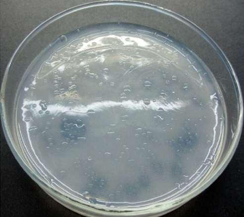TIỂU BAN TÀI NGUYÊN SINH VẬT Hình 1: Vi khuẩn cố định N phân lập trên môi trƣờng Ashby thạch đĩa 2 Đánh giá năng lực sinh trƣởng và phát triển của các chủng vi khuẩn cố định N Khả năng sinh trưởng và