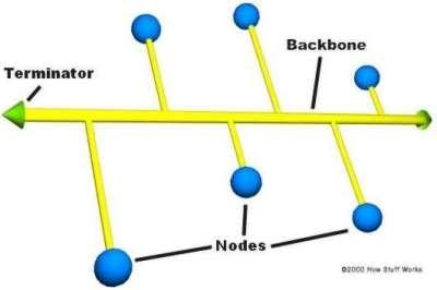 Mạng cục bộ (LAN-Local Area Network)