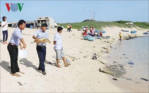 Thông tin tư liệu Bình Thuận Tháng 09 năm 2018-63 - THẢ RÙA BIỂN NẶNG GẦN 9 KG VỀ ĐẠI DƯƠNG C on rùa biển này có kích thước 40x45cm, nặng gần 9kg, được phát hiện nằm ngửa trên bãi cát thuộc thôn Đông