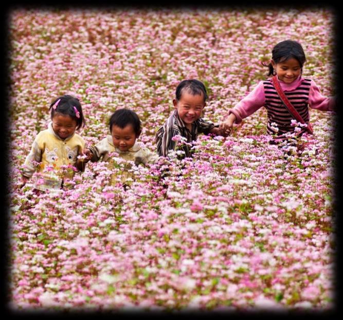 Vùng đất tươi tốt và đầy màu sắc này là nơi sinh sống của các dân tộc thiểu số trên đồi, 50 dân tộc Việt Nam 54 - mỗi dân