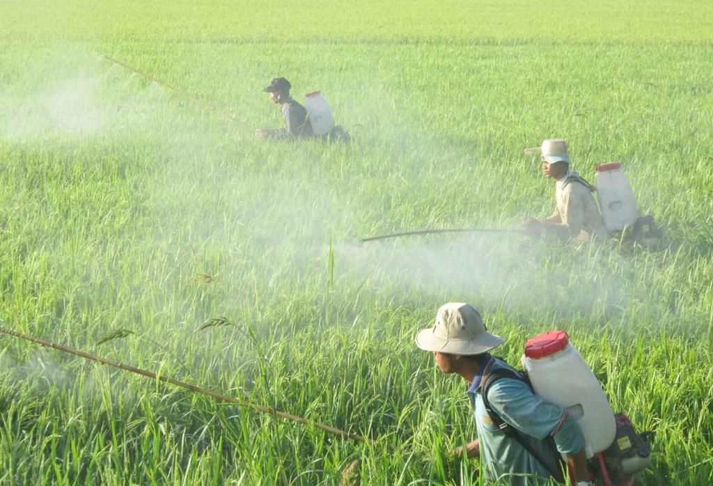 Nhóm công tác PPP về Hóa chất nông nghiệp đã tổ chức Hội thảo Nâng cao năng lực xuất khẩu và an toàn thực phẩm nông sản Việt Nam: Vai trò của quản lý hóa chất nông nghiệp, chủ trì bởi Thứ trưởng Bộ