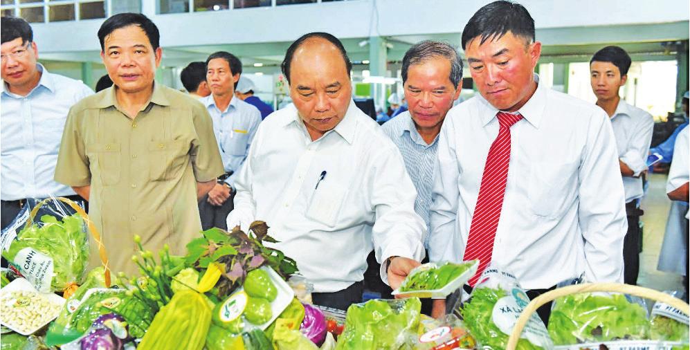 THỨ HAI 29-4 - 2019 15 Thủ tướng Nguyễn Xuân Phúc thăm khu vực sơ chế rau sau thu hoạch của Doanh nghiệp Phong Thúy.