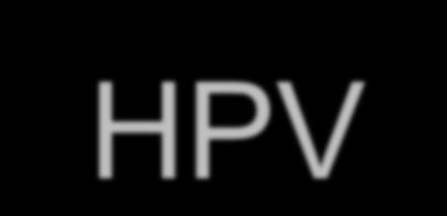 HPV-001 Immunogénicité (ELISA) Type Time