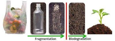 đầu thay đổi theo 2 hướng: Sản xuất nhựa sinh học phân hủy hoàn