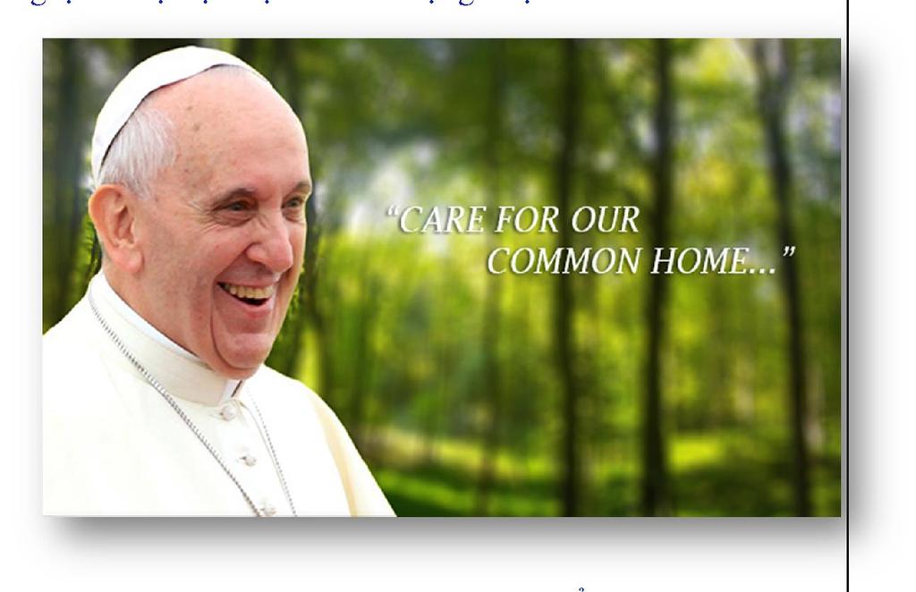 Tòa Thánh thiết lập Ngày cầu nguyện chăm sóc thiên nhiên Nguồn: G.
