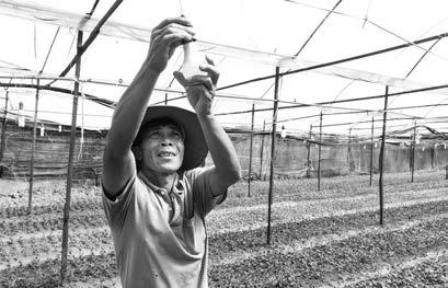 KINH TẾ THỨ BA 21-5 - 2019 3 Những nông dân sản xuất, kinh doanh tiêu biểu Trong 5 năm qua, TP Bảo Lộc xuất hiện nhiều nông dân sản xuất, kinh doanh giỏi với những mô hình nông nghiệp tiêu biểu trên