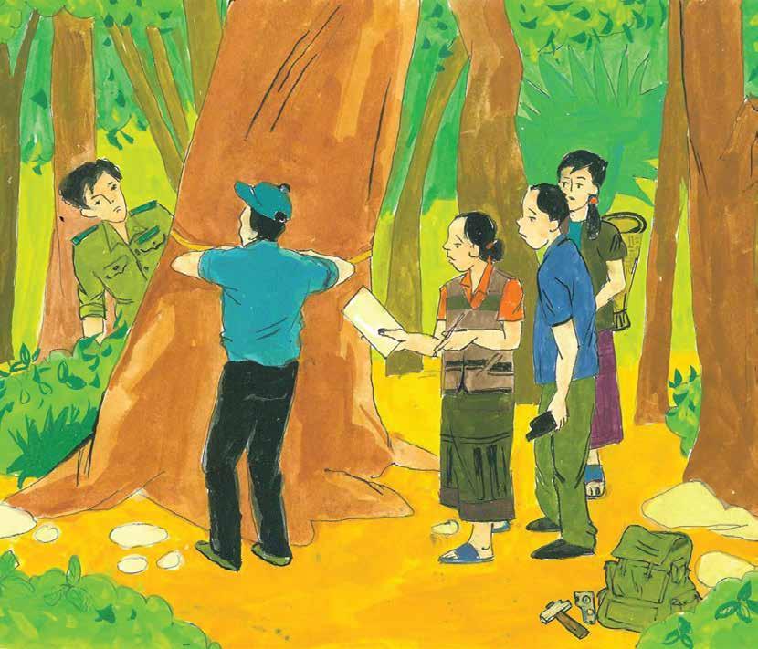 Giám sát Các-bon rừng có sự tham gia: Hướng dẫn tham khảo trên hiện trường Bảo