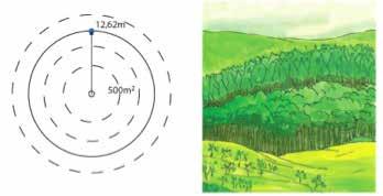 Kiểu rừng trồng: Đô i với kiê u rừng này, việc đo ti nh cây gỗ theo ô mẫu hình tro n 500m 2 với bán ki nh 12,62m, vì rừng trô ng đươ ng ki nh tô i đa thươ ng chưa vượt 42 cm, sử dụng ô phụ 3.