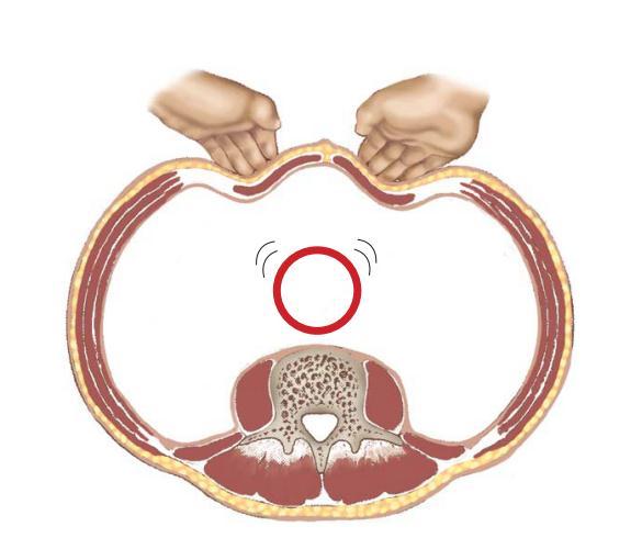 kích thước của động mạch chủ bụng Sờ khối