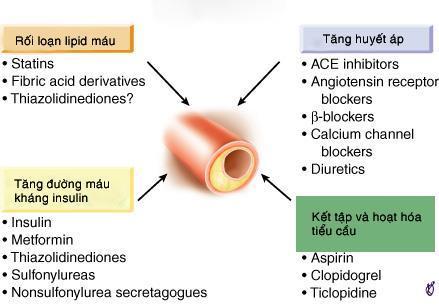Điều trị chống xơ vữa động mạch/ ĐTĐ và THA TL : Beckman JA et al.
