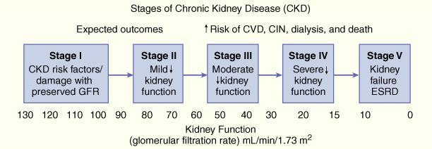 Phân độ bệnh thận mạn tính CVD : cardiovascular disease (bệnh tim mạch) CIN : contrast induced nephropathy (bệnh thận do
