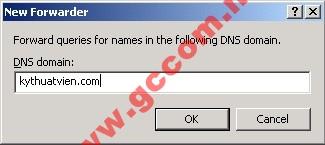 của máy DNS Server quản