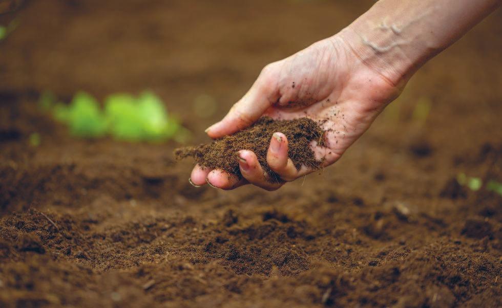 Определение типа почвы Улучшение глинистой почвы Традиционный метод улучшения. Как обычно рекомендуется улучшать такие почвы?