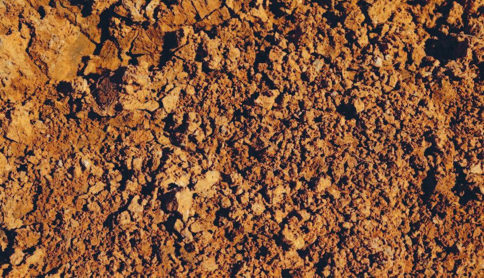 Глинистая почва Улучшение песчаной почвы Традиционный метод улучшения. Что советуют делать в этом случае?